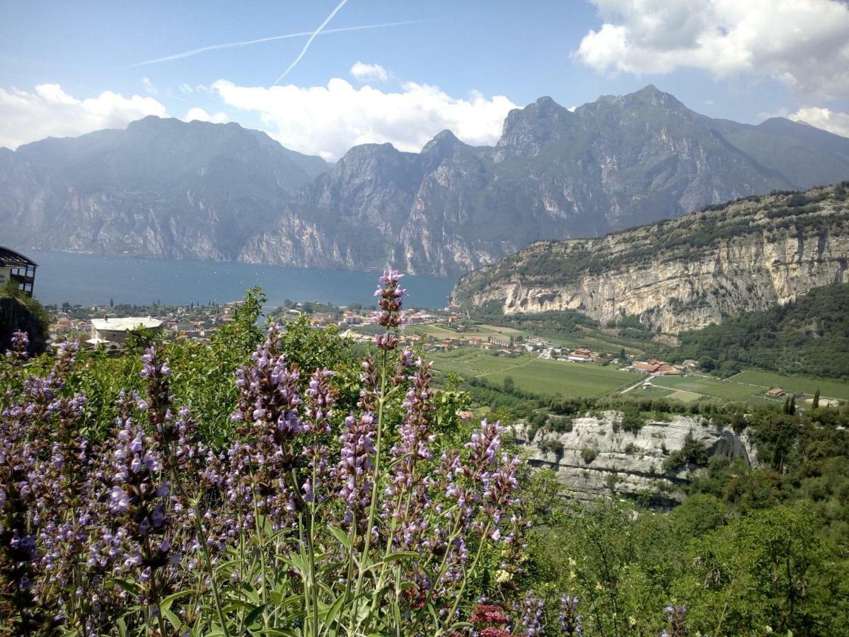 Garden Belvedere B&B Torbole Sul Garda Exterior photo